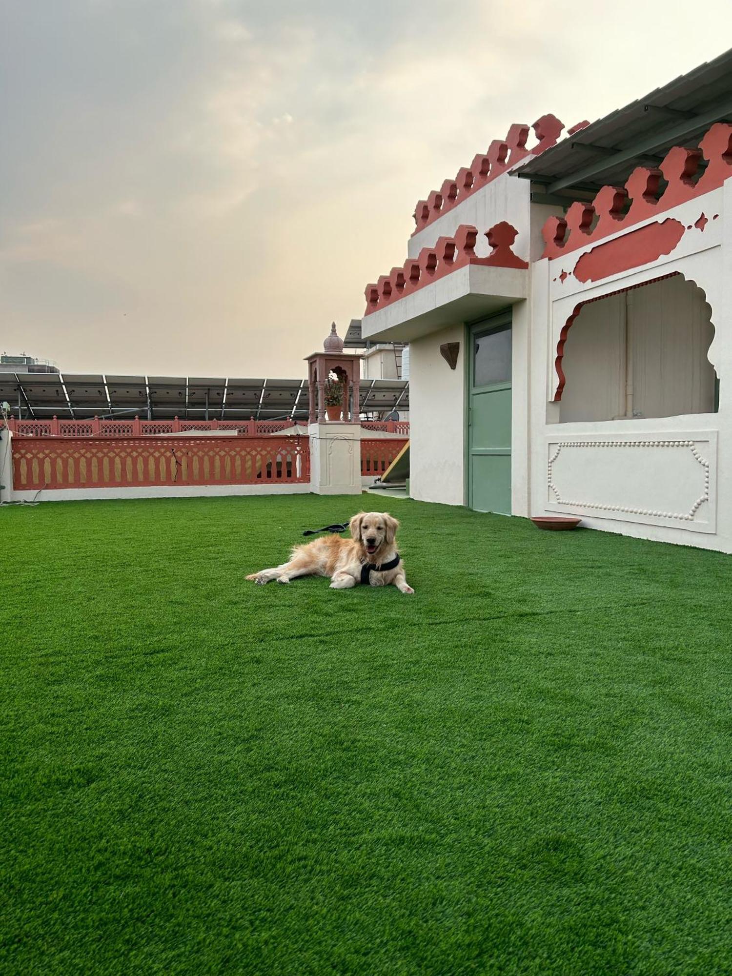 Suryaa Villa - A Boutique Heritage Hotel Divisione di Divisione di Jaipur Esterno foto